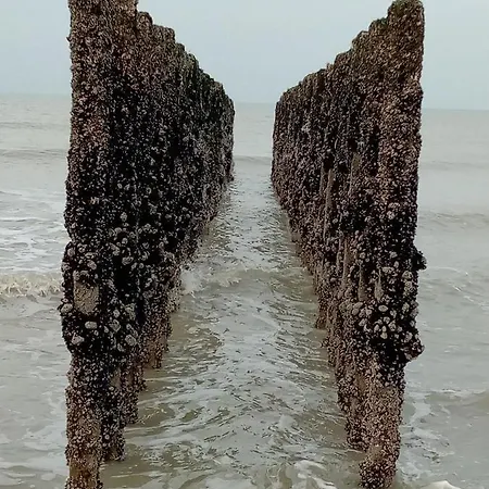 Le De La Salicorne بيت للعطل *